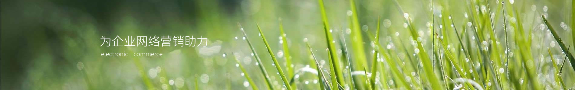 пƸũҵչ޹˾